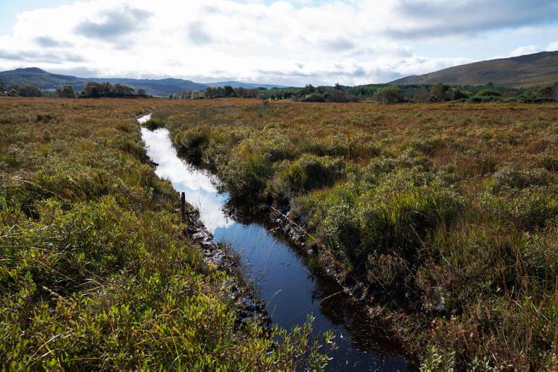 Phase out payments on drained peatlands - report