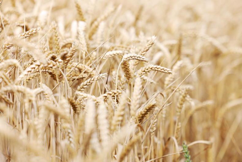Grain Trends: markets pick up on weather and new report