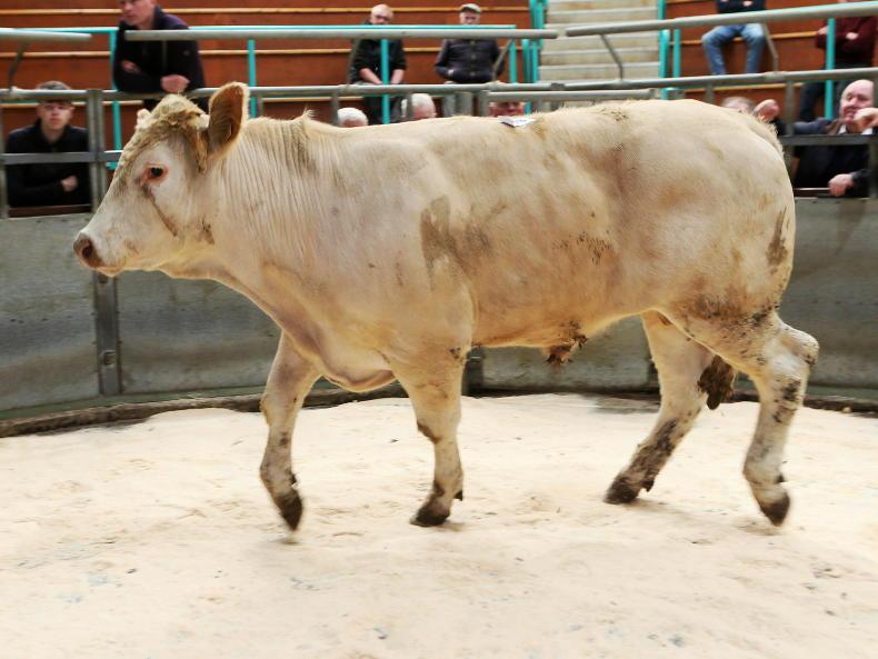 Cattle kill drops below 9,000 head