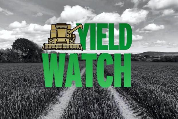 Watch: winter wheat transforms ahead of T2