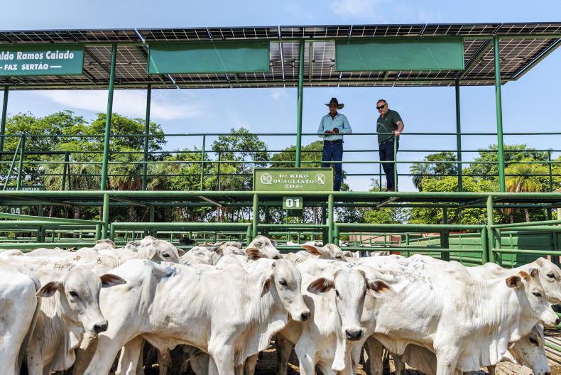 Brazil’s beef exports pass 1m tonnes in April