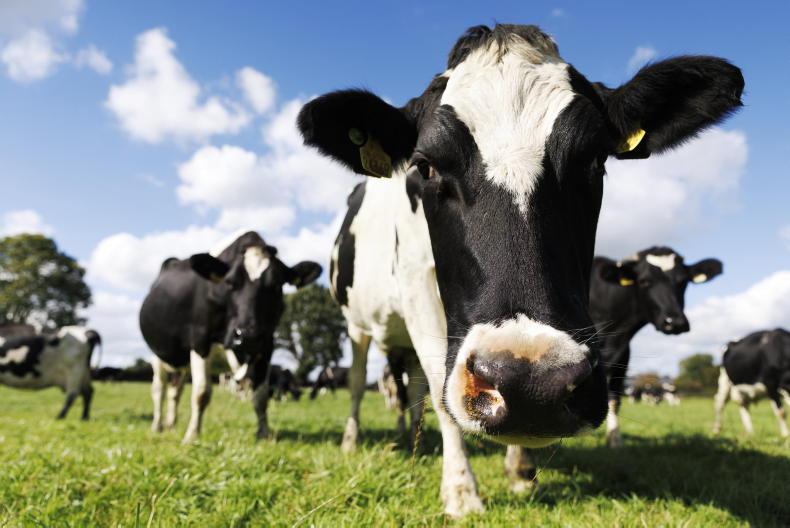 Agri jobs: workers needed for Kilkenny dairy farm