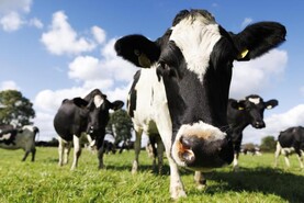 Agri jobs: workers needed for Kilkenny dairy farm