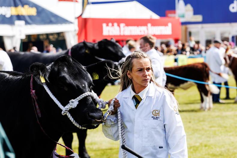 Live: day two at Balmoral Show