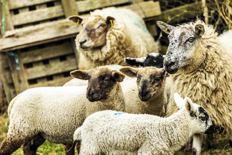 ICSA hits out at ICMSA call for 1LU/ha minimum for payments