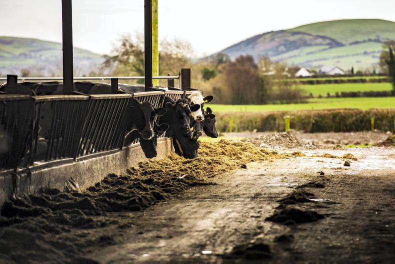 Number of herds locked-up with TB down almost 15%