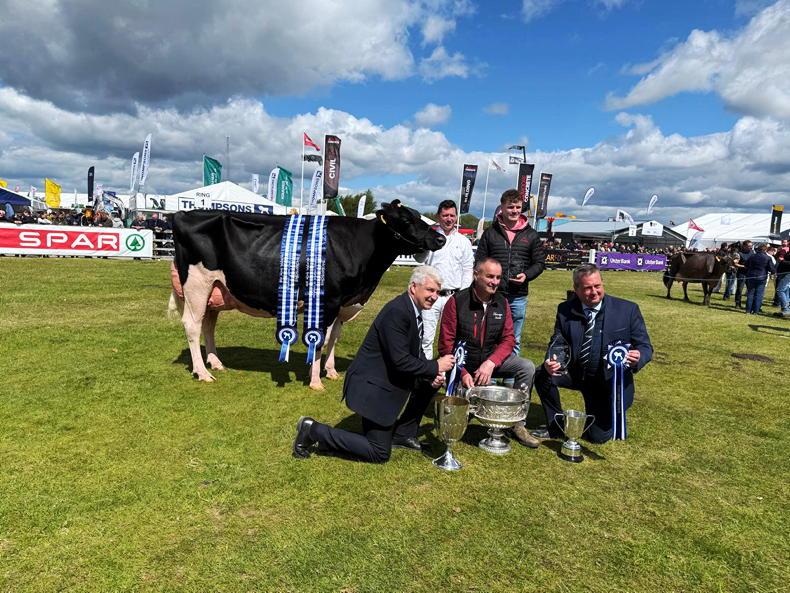 Mostragee Holsteins reign supreme at Balmoral