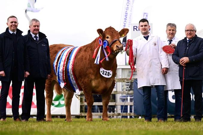 Limousin let loose on day three of Balmoral
