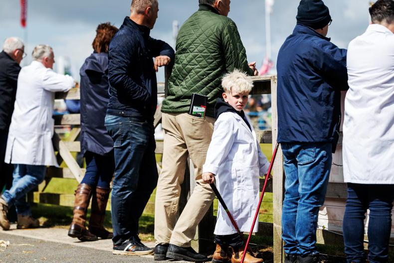 Highlights from the first two days at the Balmoral Show