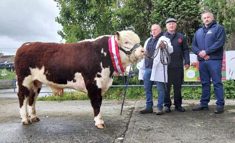 Hereford breeders end spring sales on a high