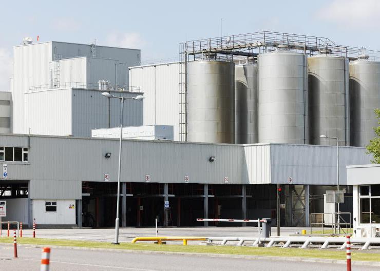 Earnings rise in Kinisla’s ‘landmark’ year