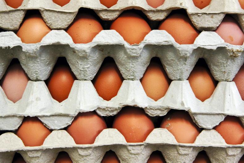 IFA warns of egg shortage on shop shelves