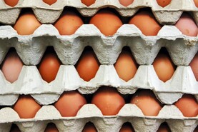 IFA warns of egg shortage on shop shelves
