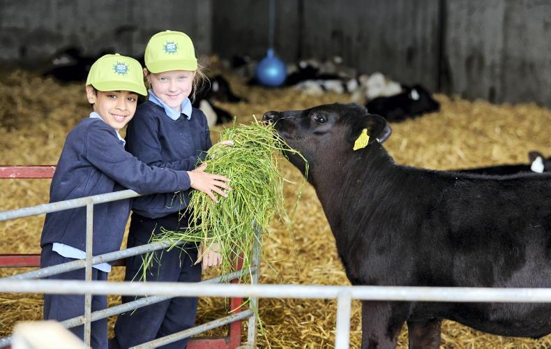 'For many of the children, it was their first time on a farm'