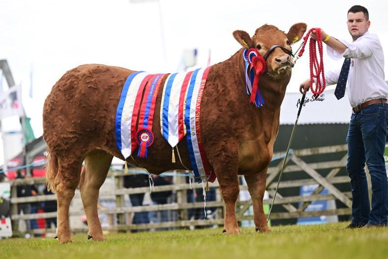 Limousin leave it all on the line in Balmoral