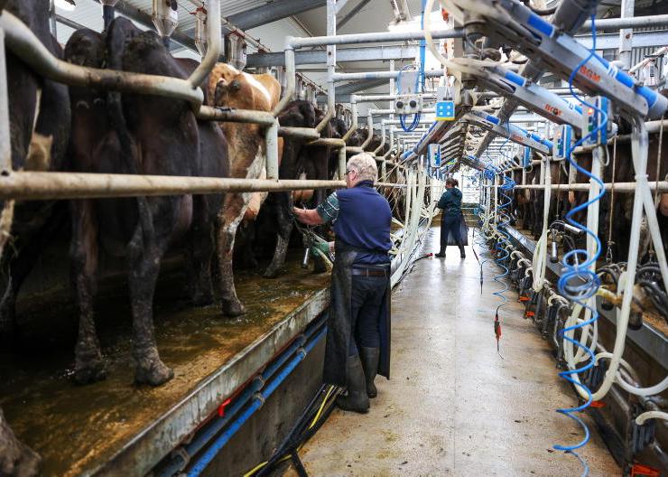 Where do our milk levies end up?