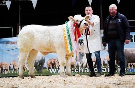 Reglisse daughter proves too Adorable for pedigree judge