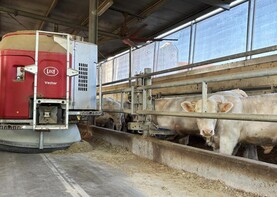 Vector impresses on Italian beef farms