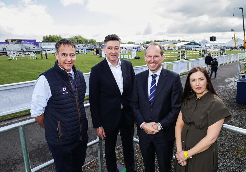 NI can ‘win in a big way’ says Whelan