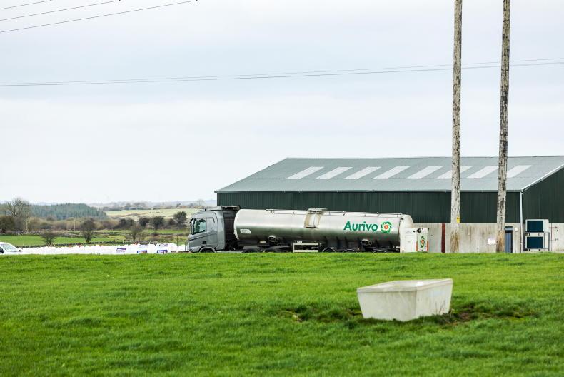 Lakeland Dairies and Aurivo gear up for peak milk 