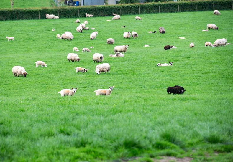 Long lands a new role in Brussels
