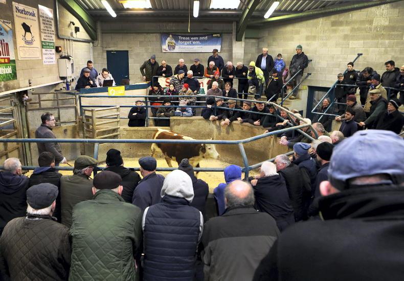 Northern Ireland diary of events