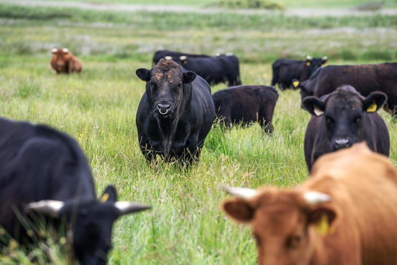 Carbon farming must not replace productive agriculture – report