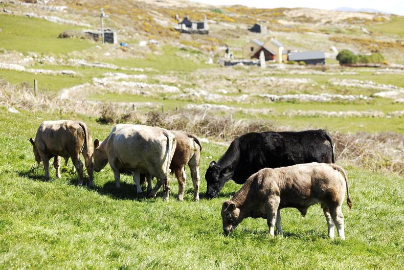 Grass+ Beef: rainfall welcome in the east while heat needed in the west