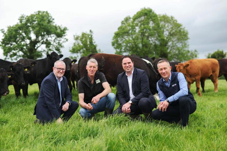New beef range boasts 23% lower carbon footprint
