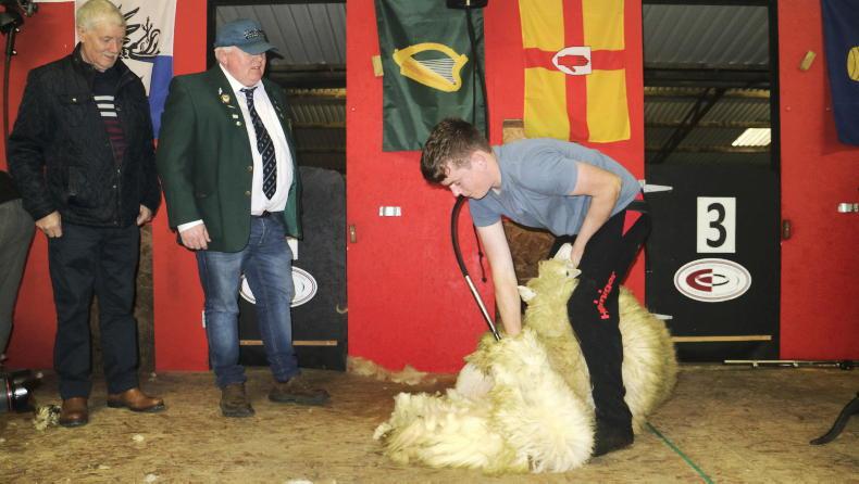 World shearing champion launches Shearfest 2026
