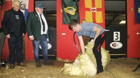 World shearing champion launches Shearfest 2026