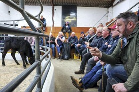 Watch: this week in pictures as sheep sales, crop walks and key events unfold