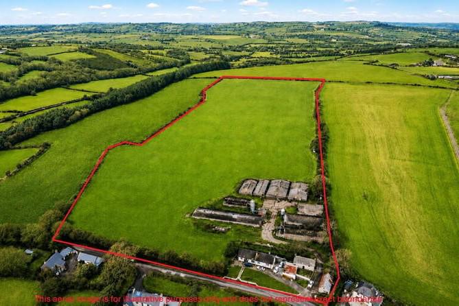 Little piggery goes to market in Cork
