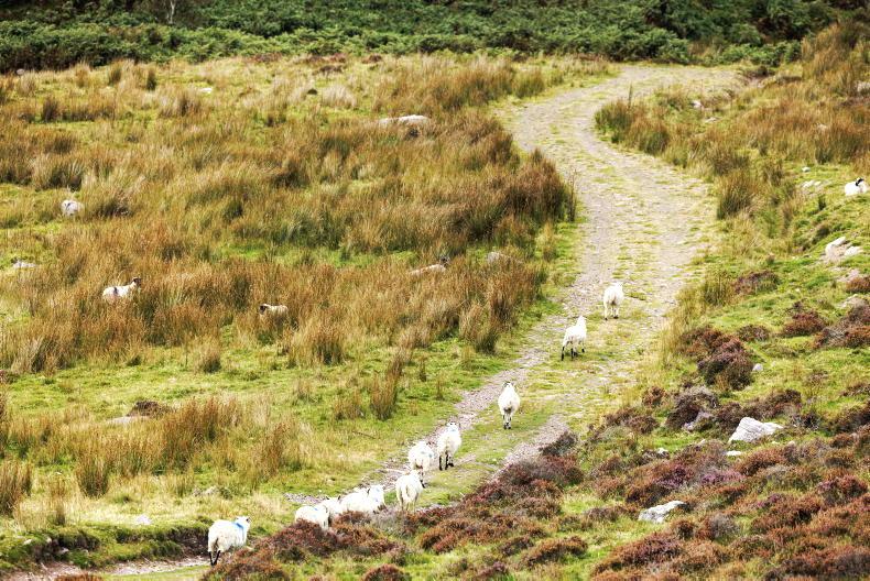 ACRES landscape actions decision letters issuing