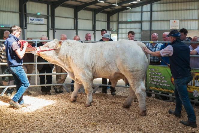 Something for everyone at Carrick June sale