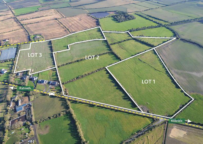 Large holding near Ratoath fetches €2m at auction