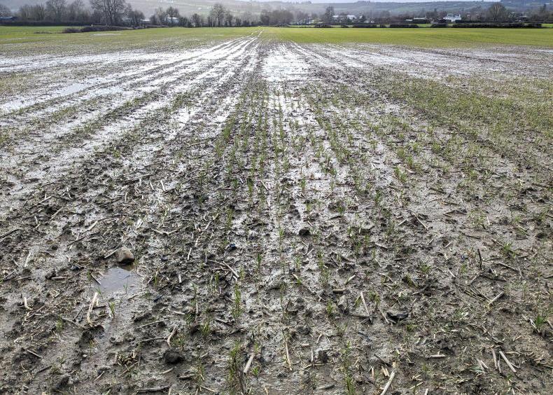 Baling straw becoming rare on this Carlow farm