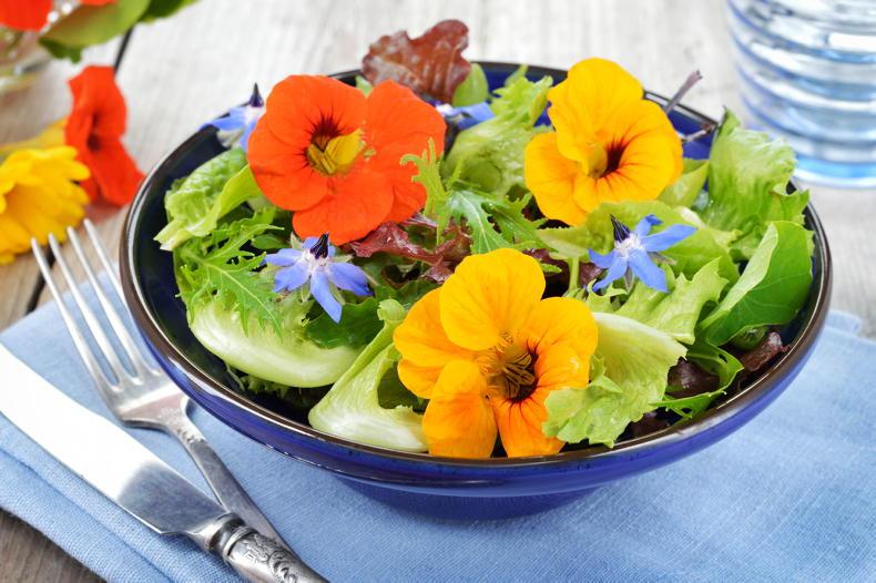Summer flowers for plot and plate
 