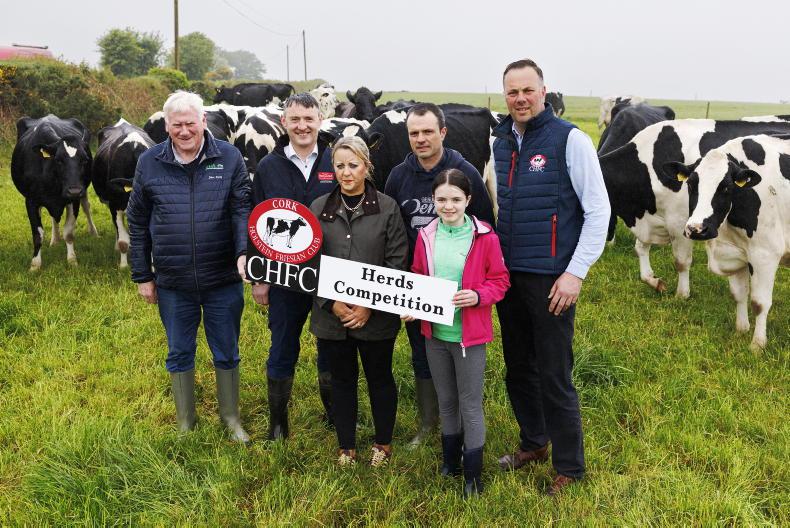 Cork Holstein Friesian Club launches herds competition