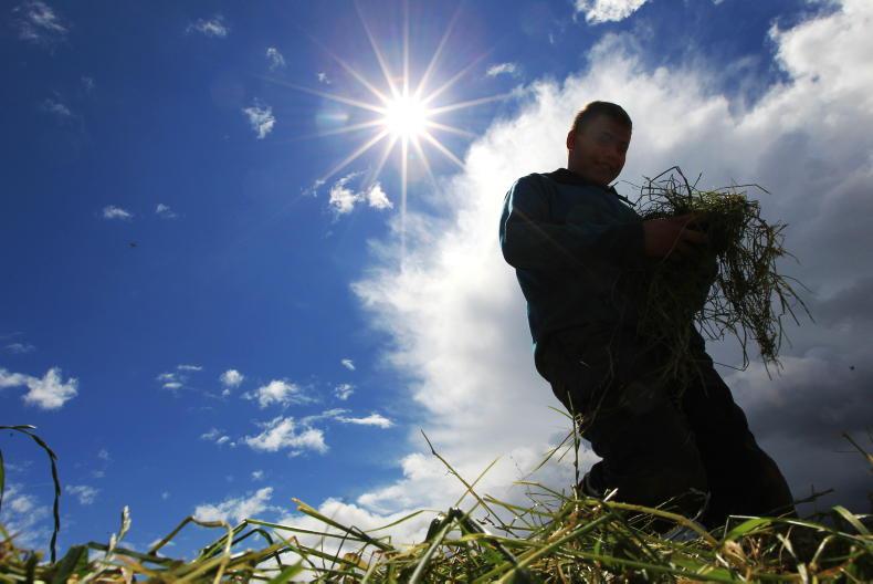 Temperatures to reach up to 30°C on Tuesday as silage wagons roll