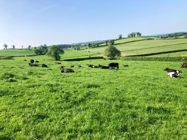 Two-week rotation in Tyrone