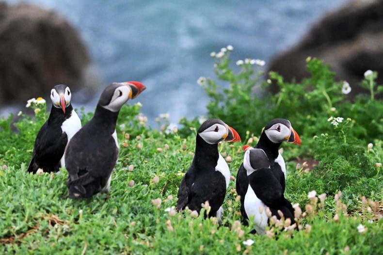 Hidden gems in Leinster: 12 lesser-known places to visit this summer