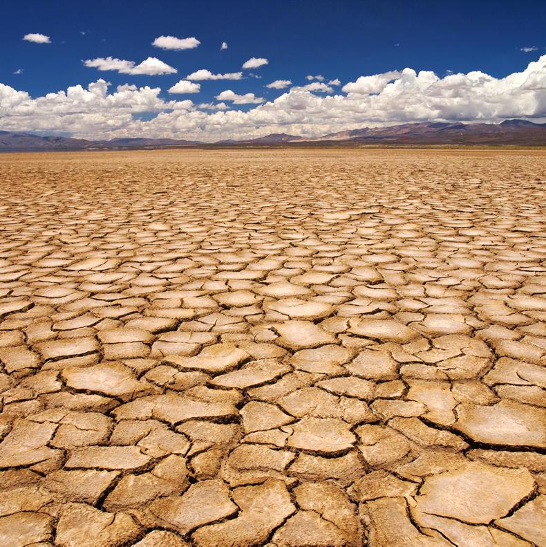 Global food prices could be in for a supply shock