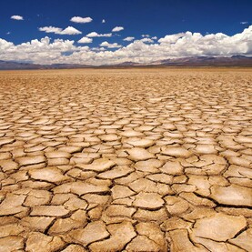 Global food prices could be in for a supply shock