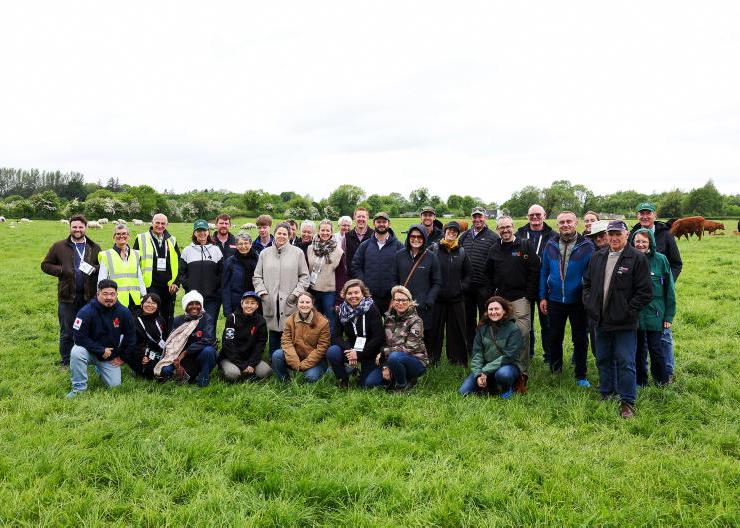 In-calf heifer sales and beef price deliver margin on Tullamore Farm