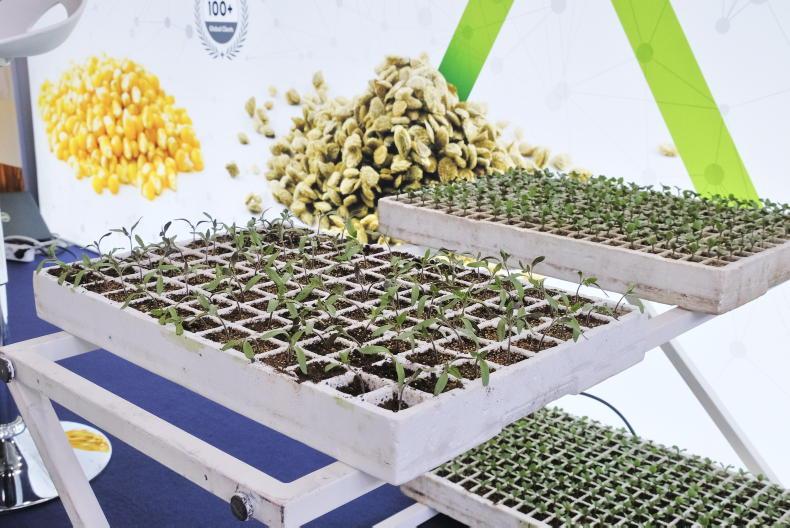 World seed industry – the facts and figures