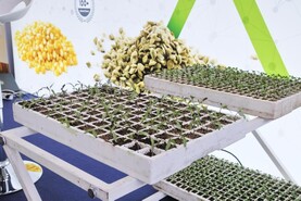 World seed industry – the facts and figures