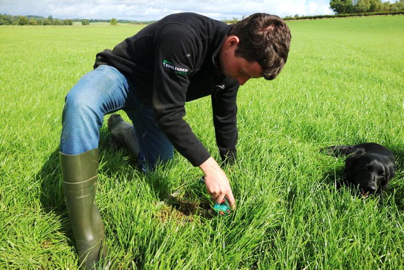 Grass growth down 11% on 2025 levels 