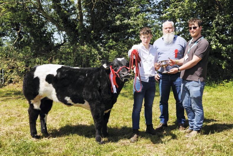In Pictures: sun shines on Midleton Show