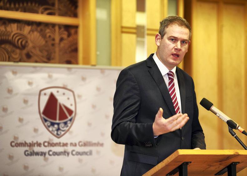 No by-election blues for Fine Gael